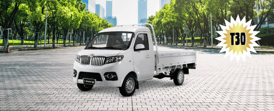 T30 Mini Truck CS 1.6 5MT ELT